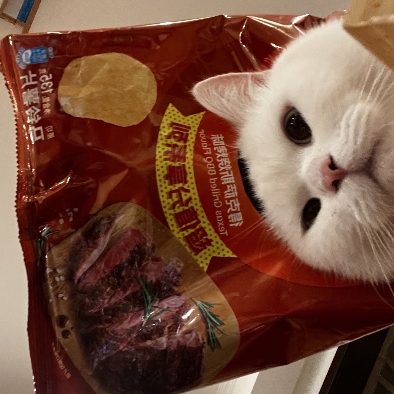二少爷 椰崽